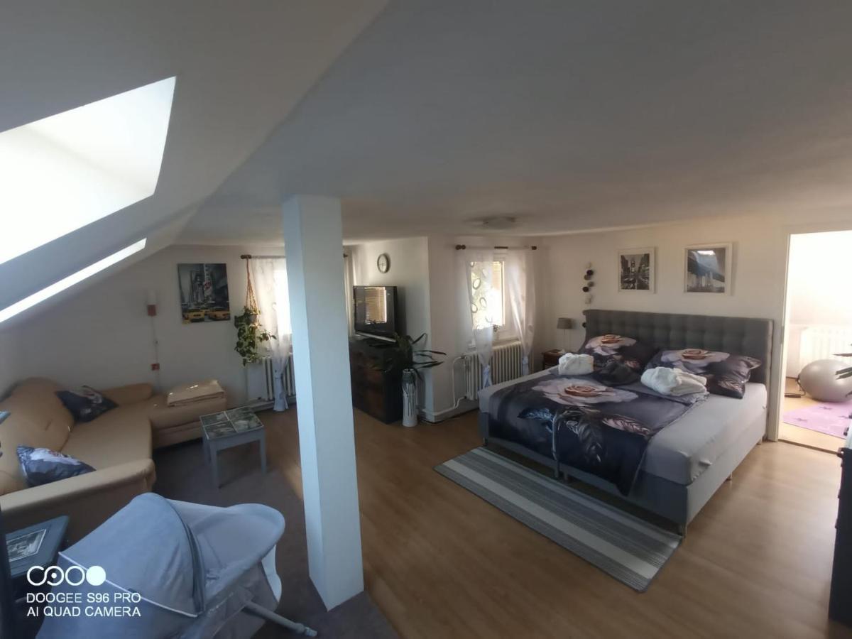 Ferienwohnung Podkrovni Apartman Tereza Rumburk Exterior foto